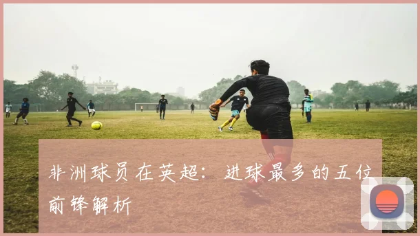 非洲球员在英超：进球最多的五位前锋解析