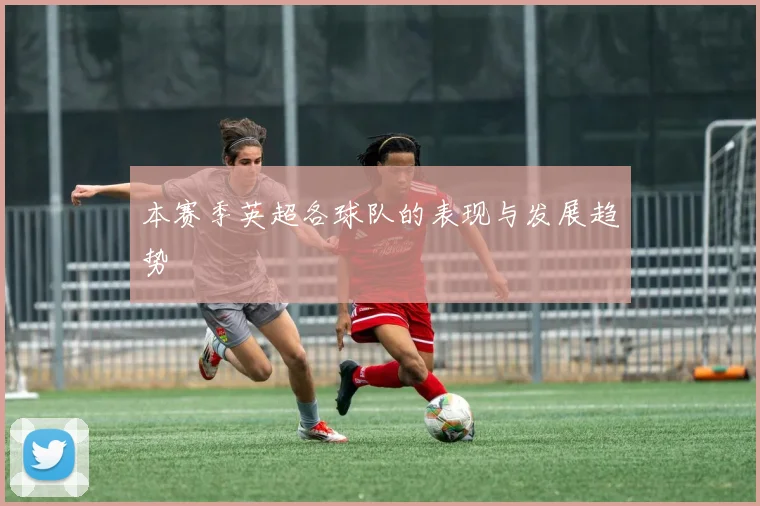本赛季英超各球队的表现与发展趋势