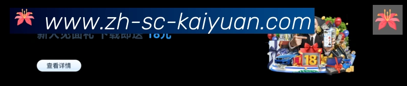 未来规划